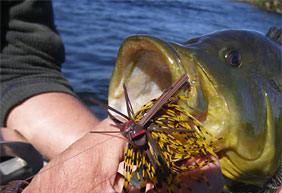 Fishing